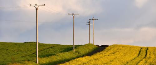 Distribution Poles