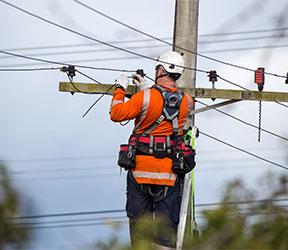 Power line maintenance