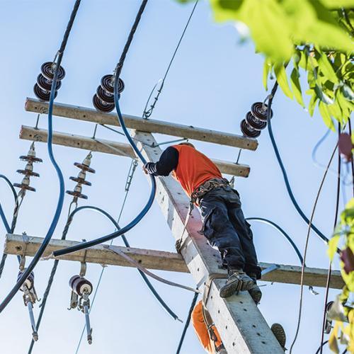 Power line maintenance