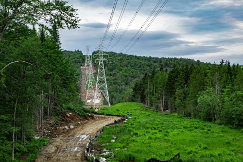 Vegetation Management - Corridor Cut