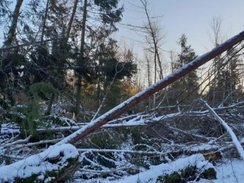 Outage management with Utility To Go in Åland