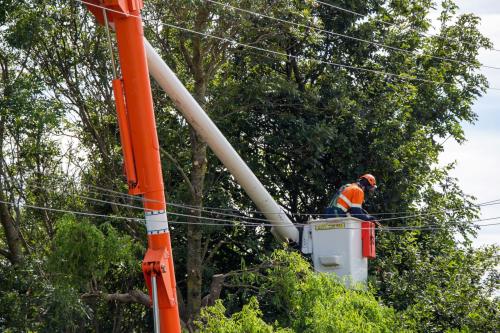 Vegetation Management Bucket Truck