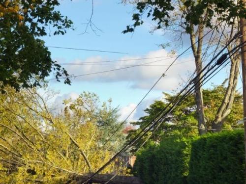 How to minimize power outage costs