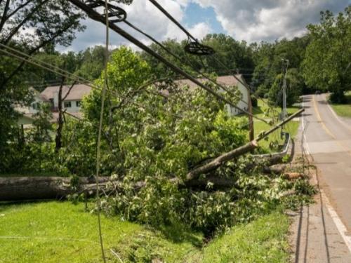 Improve electricity distribution network reliability with switch optimization
